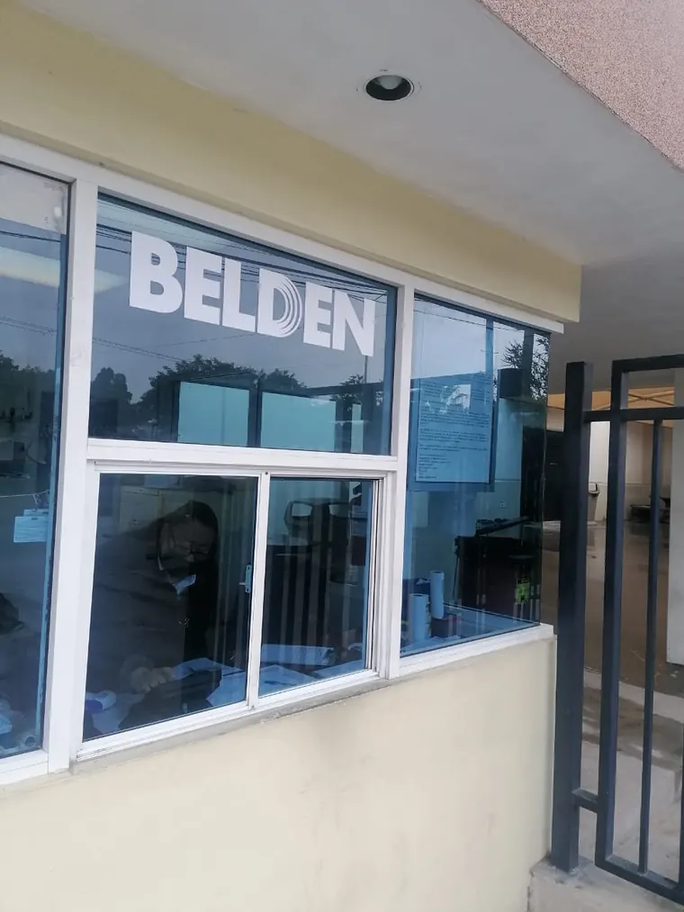 Rotulación de vitrina en local comercial · Belden
